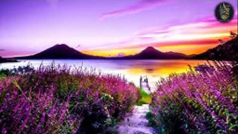 جميع تلاوات القارئ اسلام صبحي صوت يدخل القلب بدون استئذان HD   YouTube