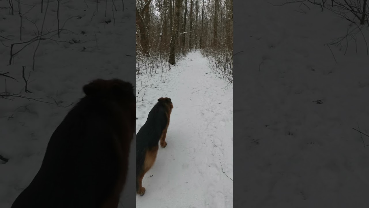 Кронос умничка) =