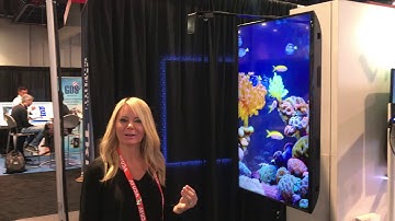 MOVE Solution Including VP71XD or VP90 Interactive Digital Signage Player