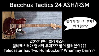 Review] Bacchus Tactics 24 ASH - 일본산 변태 텔레캐스터? - YouTube