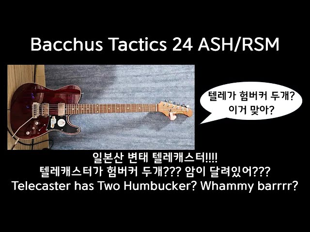 Review] Bacchus Tactics 24 ASH - 일본산 변태 텔레캐스터? - YouTube