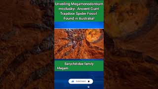 Ancient Giant Trapdoor Spider Fossil Found in Australia #spider