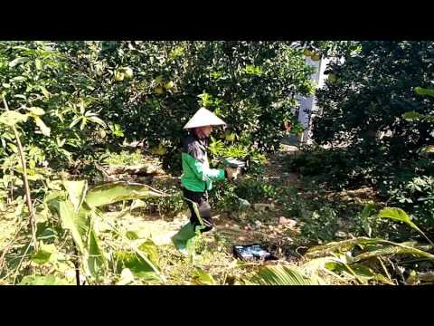 Video Máy dò mạch nước ngầm - youtube