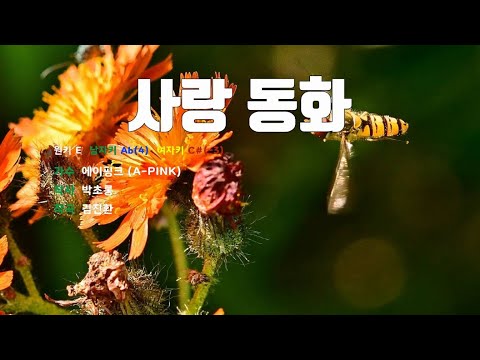 [은성 반주기] 사랑동화 - 에이핑크(A-PINK)