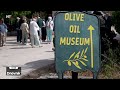Škrip privlači tisuće turista zahvaljujući Muzeju uja