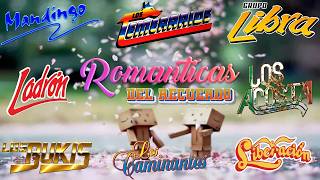 Los Caminantes, Los Acosta, Bronco, Rehenes, Bryndis, Los Mier 🌹 40 Recuerdo Del Ayer Exitos