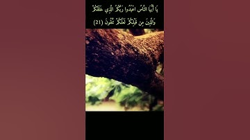من سورة البقرة " يَا أَيُّهَا النَّاسُ اعْبُدُوا رَبَّكُمُ الَّذِي خَلَقَكُمْ "