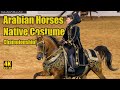 Purebred arabian native costume champ at scottsdale arabian horse show