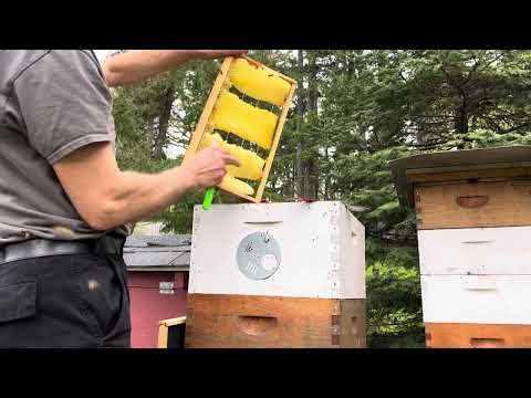 Fixing cross comb