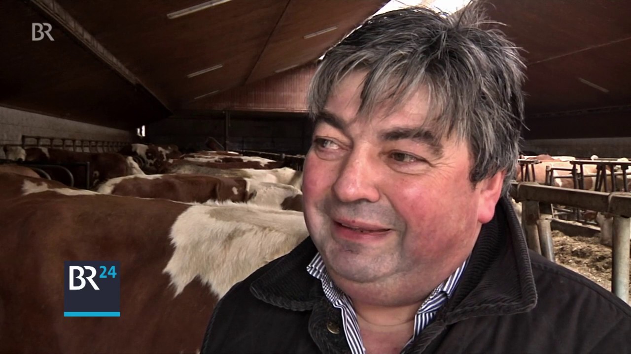 Die älteste Kuh Bayerns | BR24