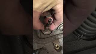 IMG 6745