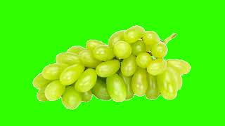 Grapes image 🍇 Green screen video free download - Free copyright screenshot 1