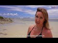 Sargasses, l'incessant combat aux Antilles｜TF1 INFO
