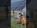 the use of solar panel #soler #panel #solersystem #ai #aivideo #farmer #garmi