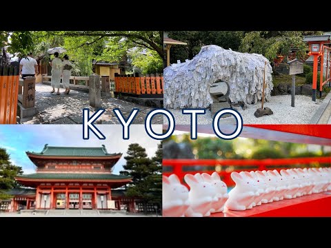 【KYOTO】10 Recommendations by Japanese local 2024【JAPAN】