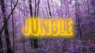 Download Lagu YWK Kobe \u0026 RiqqDaDawgg - Jungle (OFFICIAL MUSIC VIDEO) MP3