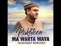 Pukhtoon Ma Warta Waya Mp3 Song