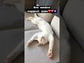 Suggest names #cat #catsfood #funny #haveitoldyoulatelythatiloveyou #cute #dothingsyoudontwanttodo
