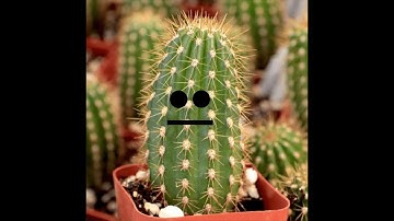 Fuel - Bli highlight