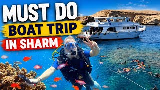White Island Boat Trip, Diving & Snorkelling | Sharm El Sheikh | Vlog | Egypt 🇪🇬