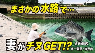 A wife, a fishing novice, catches a huge fish in a canal! [Couple