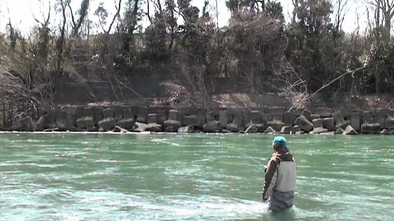 Fly Fishing Post 