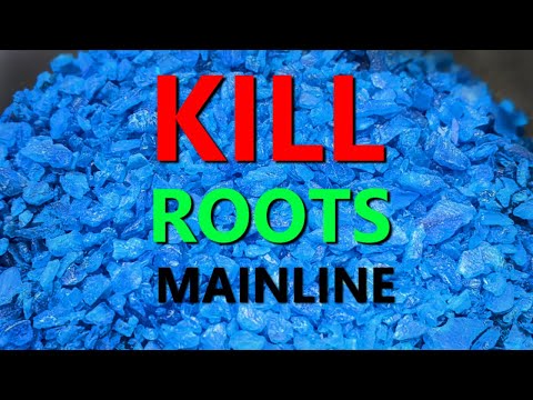How to Kill
