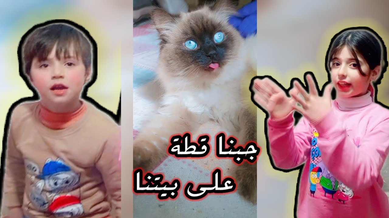 بيتنا! 🐾 ألطف كائن دخل بيتنا (شوفوا الجمال) 😍 جبنا قطة على بيتنا وصارت كارثة!