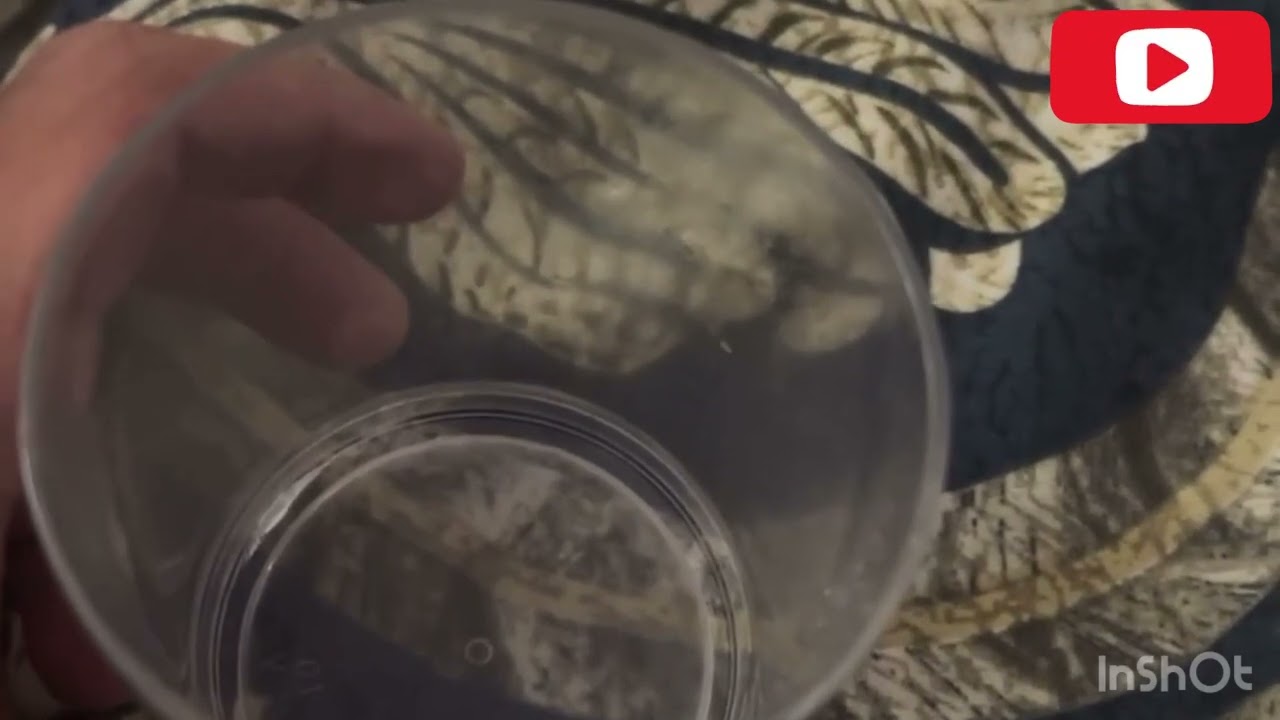 🧠 What Is Glass, Really? | Deep Talk with Gemini AI | Science Explained