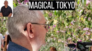 Magical Team Labs, Nikon Museum, Zojo-ji Shrine, a Mega Stationery Store & Sushi Dinner in 1 day! screenshot 2