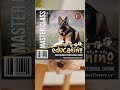 Qué pasa si tú perro se DESESPERA cuando sales?
