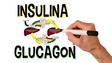 Como age a insulina e o glucagon?