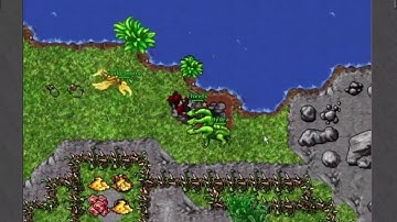 Tibia Bosses - The Welter - Wintera