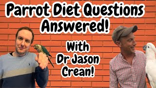 Parrot & Bird Diet Questions Answered With Dr Jason Crean | TheParrotTeacher