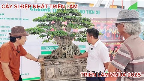 Cây Si đẹp nhất hội tụ anh tài - Triển lãm VNUA 2025