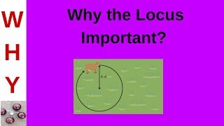Locus