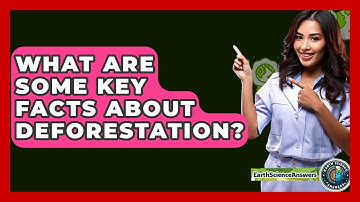 What Are Some Key Facts About Deforestation? - Earth Science Answers