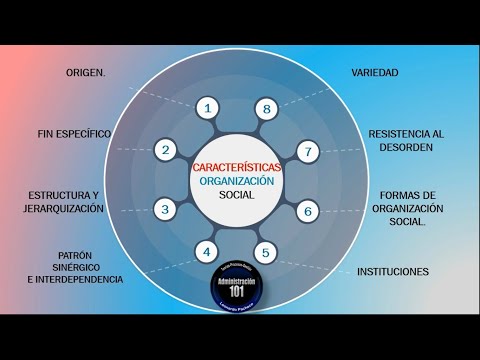 Video: Características De Las Organizaciones Sociales