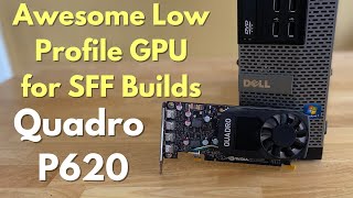 Cheap Awesome Low Profile Gpu Quadro P620