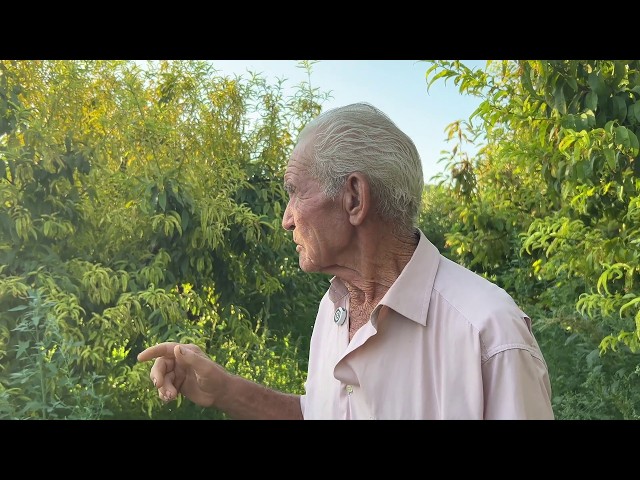 6- El Verano - José - Mosca - LOS FRUTOS DEL TIEMPO