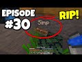 Dumbcraft: Episode #30 - the first pet fish death :(