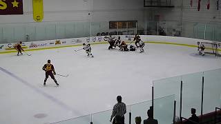 Concordia Stingers' Gabriel Bilodeau scores vs. the Carleton Ravens in OUA East semi-final 2/22/20