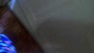 000_0039.mov