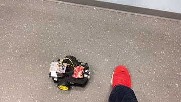 ECE 110 Final Project