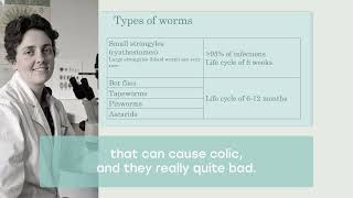 Understanding Worms in Horses: Breaking the Life Cycle | Dr Jacqui Panozzo x FeedXL