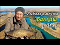 [2К] Рыбалка в дельте Или | Рыбалка в Казахстане | Балхаш | р.Или | Рыбалка2021