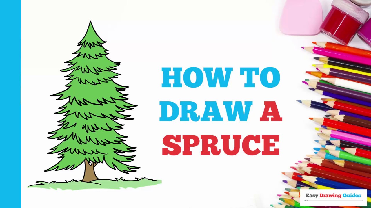 How to draw a spruce tree easy Step by Step  YouTube