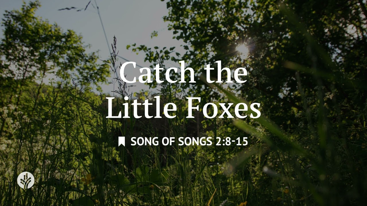 Catch the Little Foxes | Audio Reading | Our Daily Bread Devotional | June 27, 2025