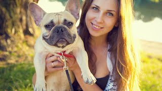 14 Cute and Funny French Bulldog s Instagram Adorable Frenchie Try Not To Laugh s