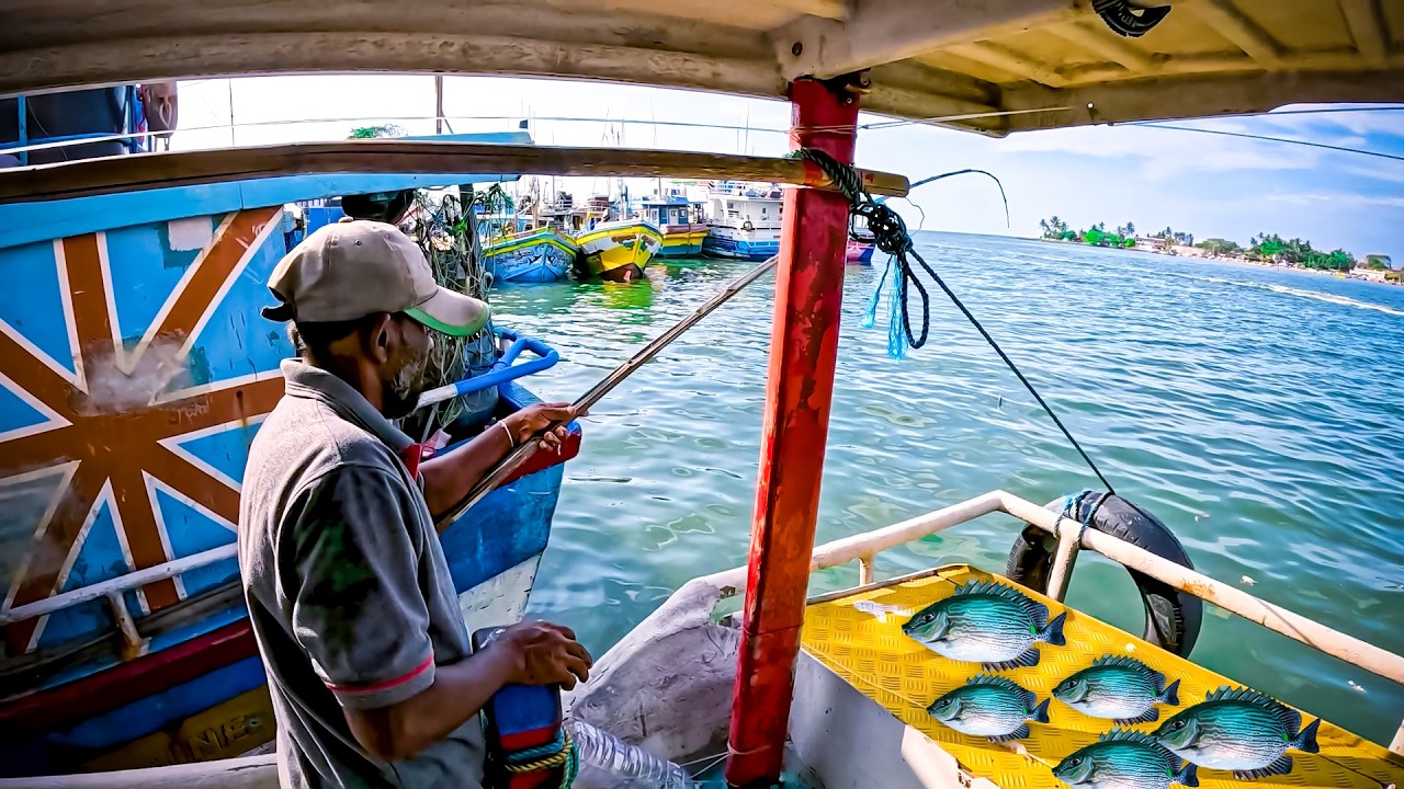 Zero Fuel, Big Profit Fishing Rabbitfish on a Stopped Boat - YouTube